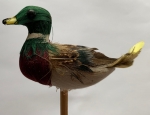 Ente (Erpel) auf Stab